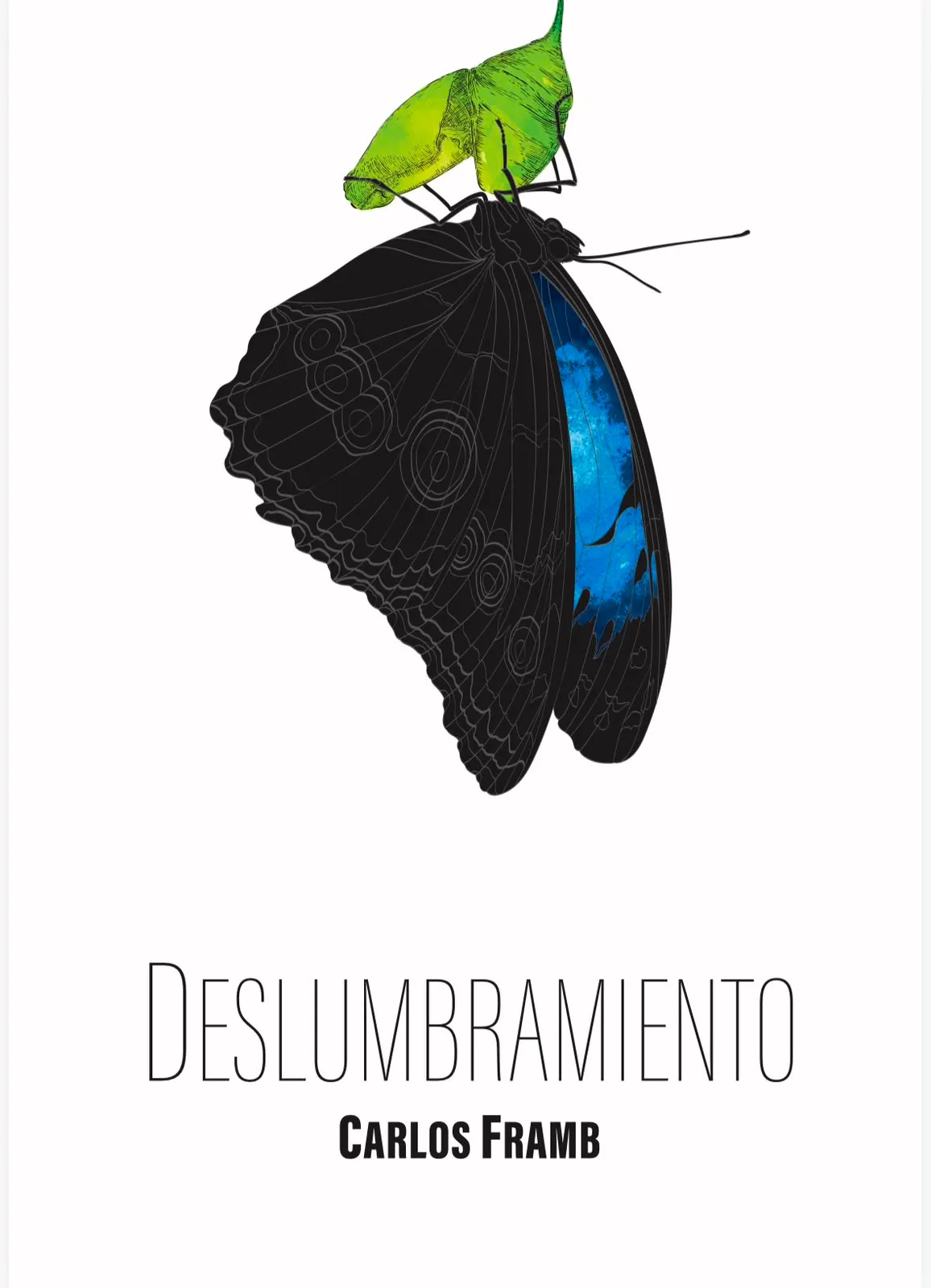Portada del libro Deslumbramiento de Carlos Framb